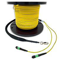 Custom Indoor MTP® Singlemode Fiber Trunk Cables