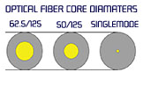 Fiber Type vs. Speed and Distance