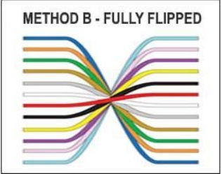 Type B Polarity (Reversed)