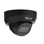 AI Weather-proof Mini Dome Network Camera 2MP