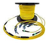 Custom Indoor 12 Fiber MTP® Singlemode APC Fanout Assembly (1 x 12 MTP to 12 Simplex Connectors) - Plenum Rated - made in USA by QuickTreX® with Genuine US Conec® Connectors and Corning® Glass