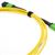 Stock Senko MPO Singlemode APC 12 Fiber Cable - Female/Female Method A - Straight Through
