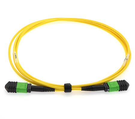 2 Meter Stock Senko MPO Singlemode APC 12 Fiber Cable - Female/Female Method A - Straight Through