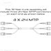QuickTreX MTP Trunk Assembly 3 x 24 MTP Configuration