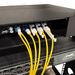 Patch Cables Installed in 12 Fiber Adapter Panel