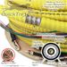 QuickTreX Indoor Interlocking Armor Pre-Terminated Fiber Optic Cable Assembly Jacket Features