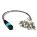 Stock 13.80 Inch (35 cm) 12 Fiber 1 X 12 MPO Male to 12 X LC Simplex Multimode 10/40/100 GIG OM4 50/125 OFNR Riser Rated Fiber Optic Fanout Cable Assembly - Method A Straight Through - 0.09mm Furcation