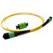 12 Fiber Singlemode (1 X 12) MPO/MTP Gender Changing Kit for Changing MPO/MTP Male (Pins) to Female (No Pins) - Includes 1 Meter 12 Fiber MPO APC Female to Female Plenum Rated Method A Cable and MPO/MTP Coupler