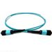 Stock 1 Meter 24 Fiber (1 X 24) MPO Male to MPO Female Multimode 10/40/100 GIG OM4 50/125 OFNR Riser Rated Fiber Optic Patch Cable - Method A Straight Through