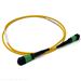 Stock 1 Meter 24 Fiber (1 X 24) MPO APC Male to MPO APC Male Singlemode OFNR Riser Rated Fiber Optic Patch Cable - Method A Straight Through